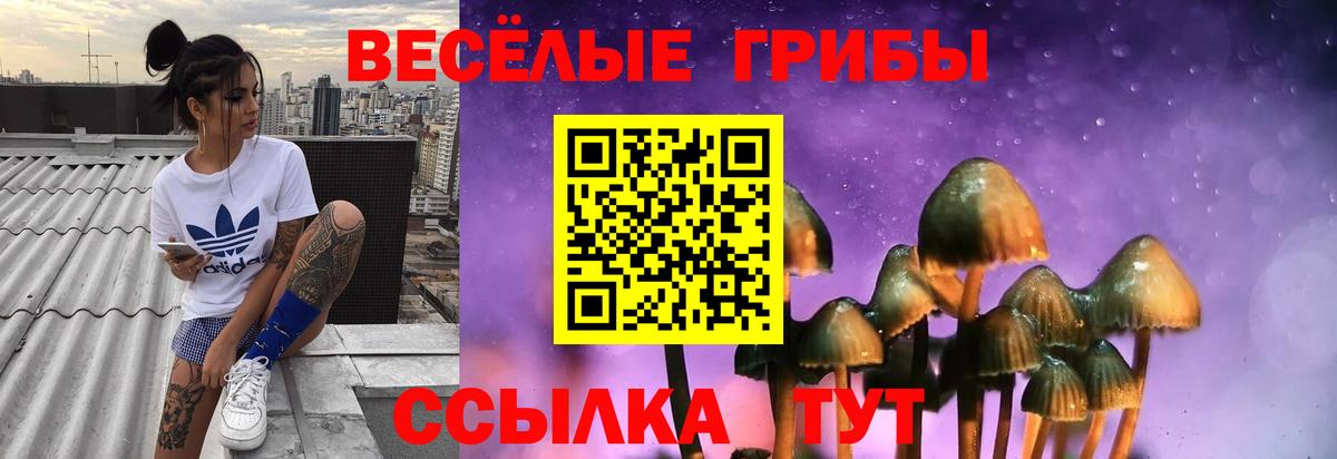 купить наркоту  Вход с VPN  Волжск  Псилоцибиновые грибы ЛСД 